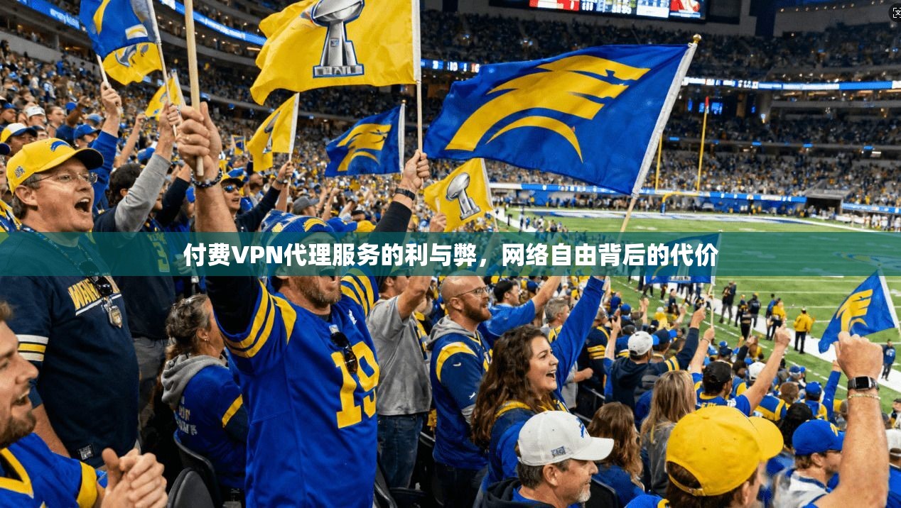付费VPN代理服务的利与弊，网络自由背后的代价