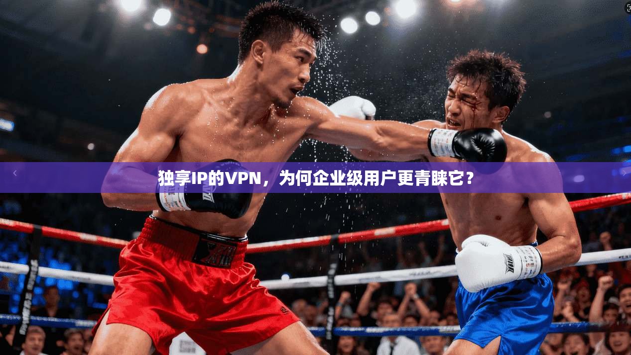 独享IP的VPN，为何企业级用户更青睐它？