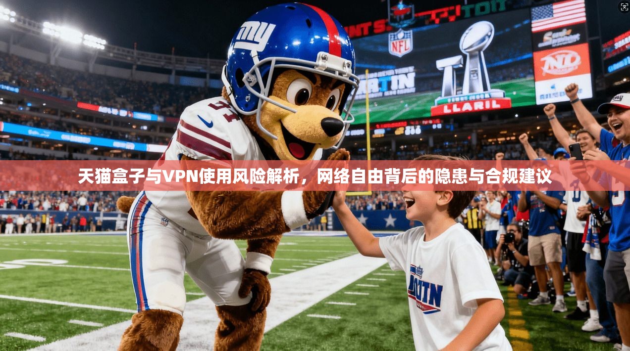 天猫盒子与VPN使用风险解析，网络自由背后的隐患与合规建议
