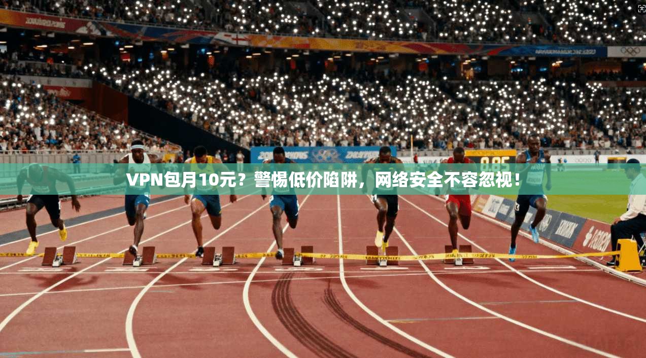 VPN包月10元？警惕低价陷阱，网络安全不容忽视！