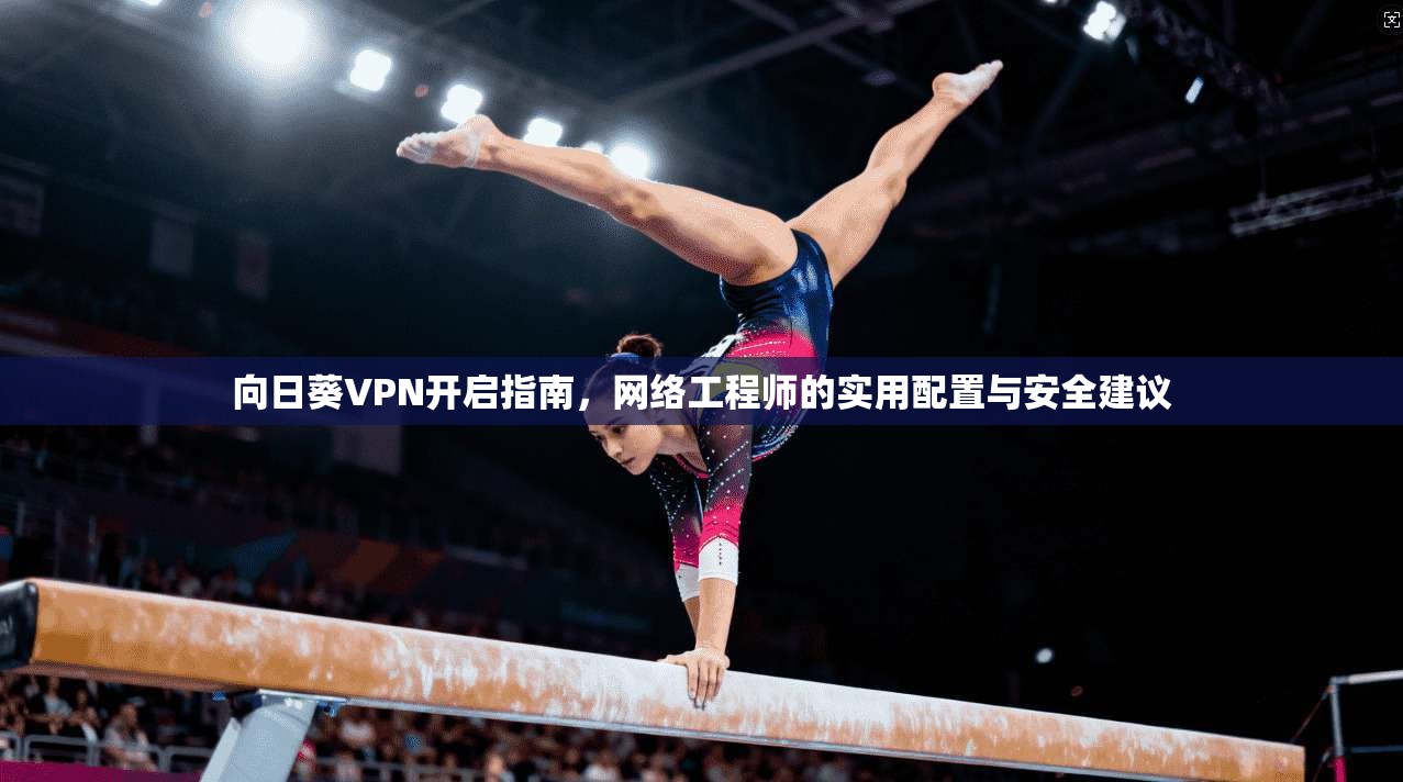 向日葵VPN开启指南，网络工程师的实用配置与安全建议