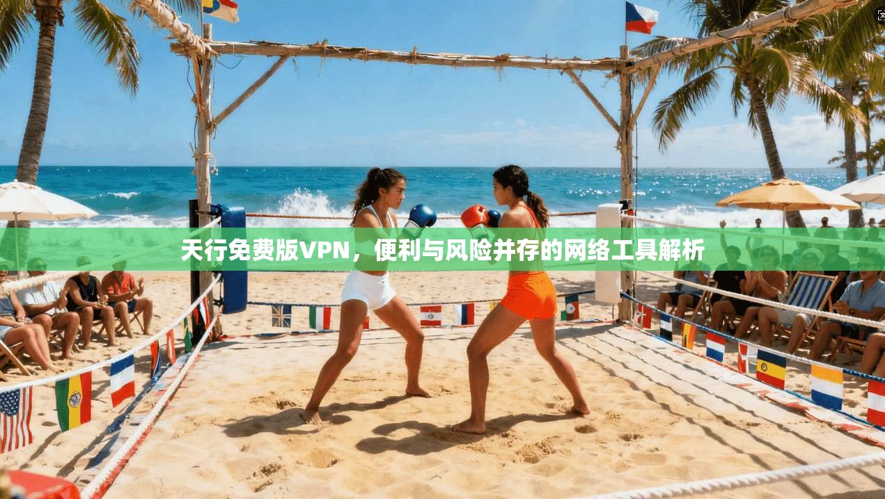 天行免费版VPN，便利与风险并存的网络工具解析