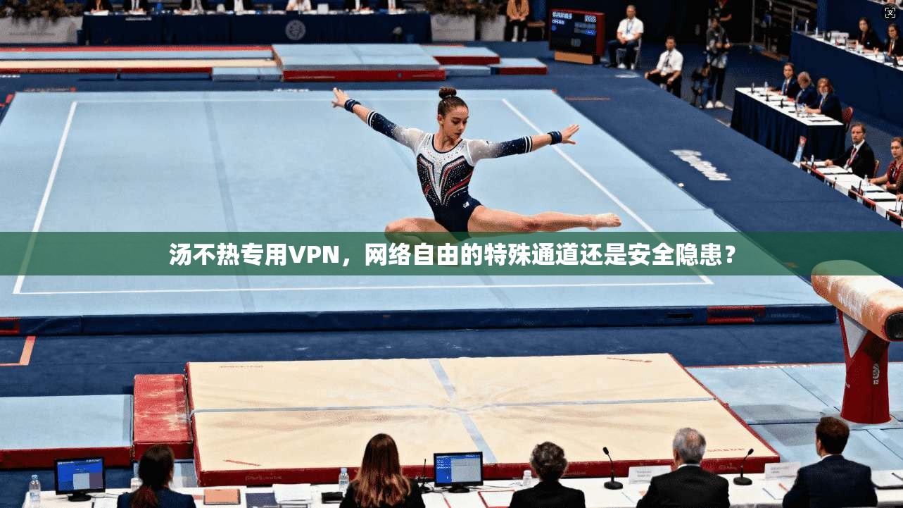 汤不热专用VPN，网络自由的特殊通道还是安全隐患？