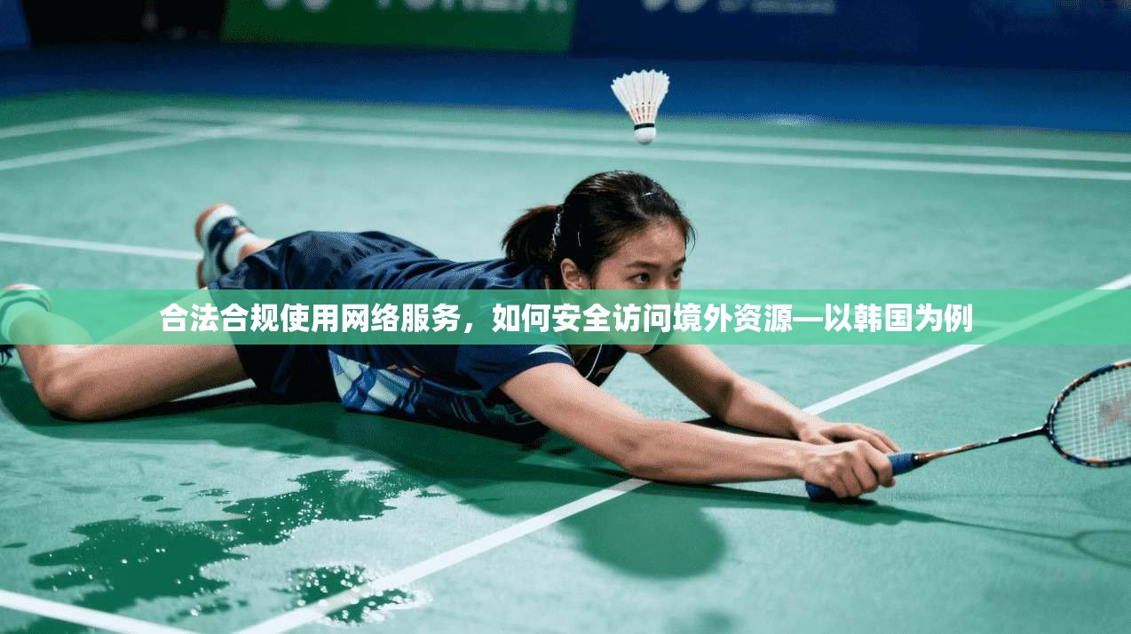 合法合规使用网络服务，如何安全访问境外资源—以韩国为例