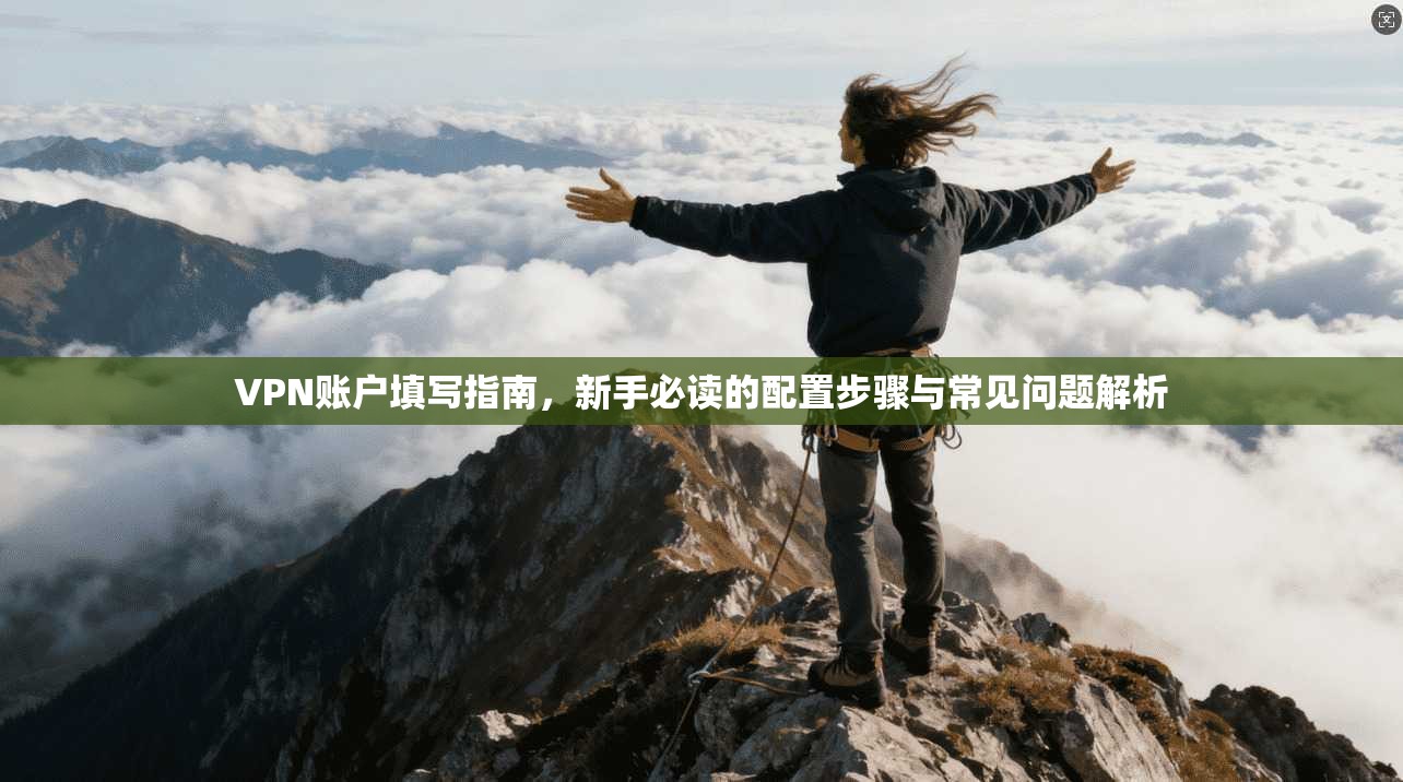 VPN账户填写指南，新手必读的配置步骤与常见问题解析