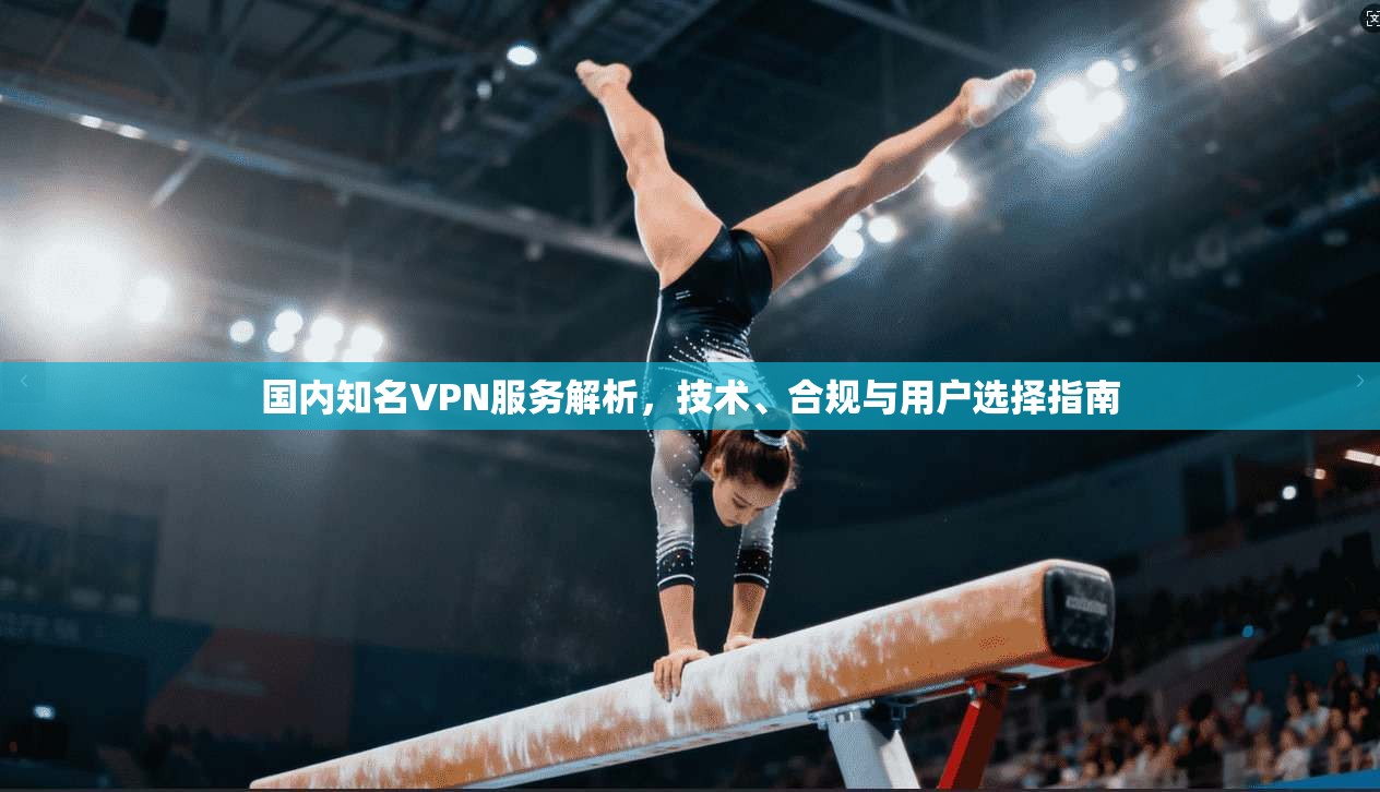 国内知名VPN服务解析，技术、合规与用户选择指南