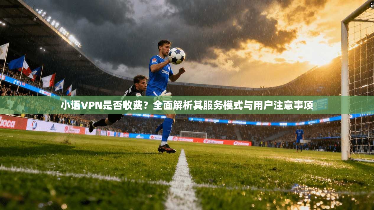 小语VPN是否收费？全面解析其服务模式与用户注意事项