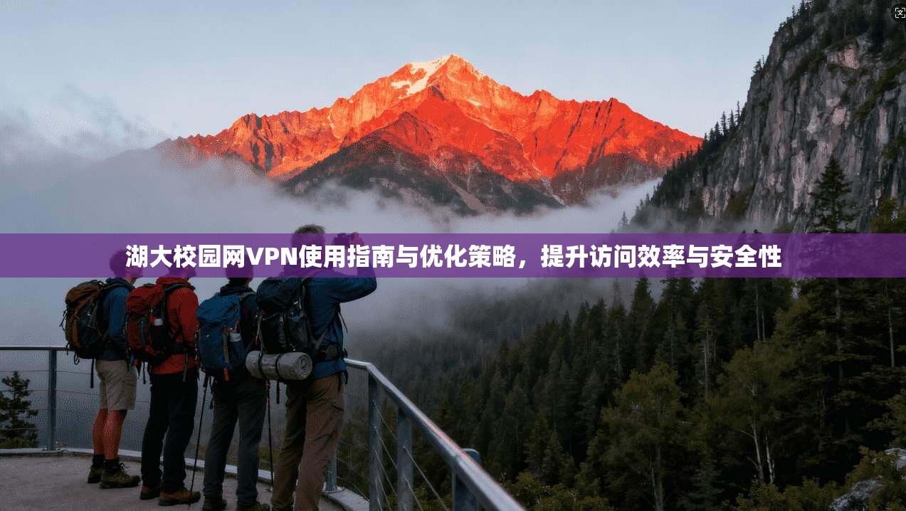 湖大校园网VPN使用指南与优化策略，提升访问效率与安全性
