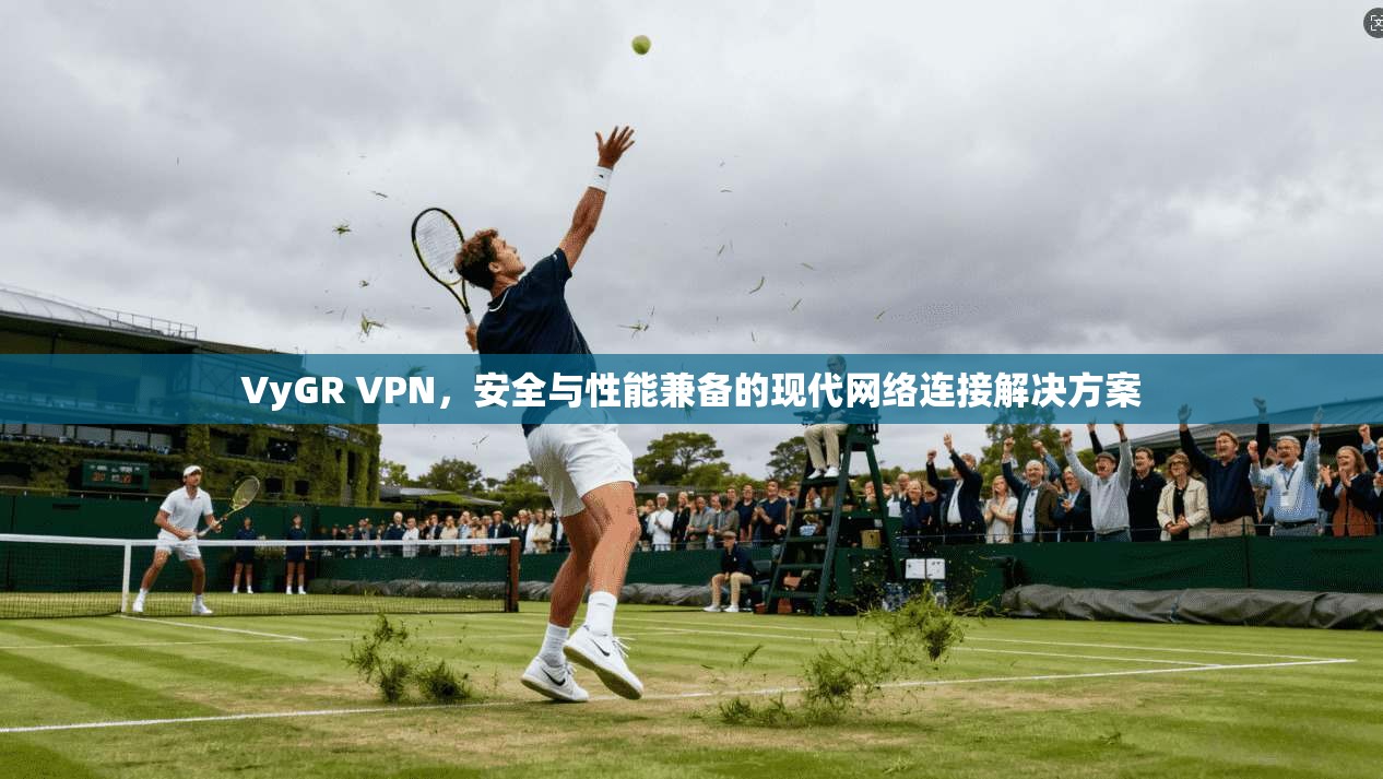 VyGR VPN，安全与性能兼备的现代网络连接解决方案