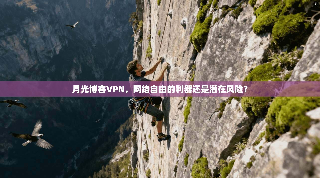 月光博客VPN，网络自由的利器还是潜在风险？