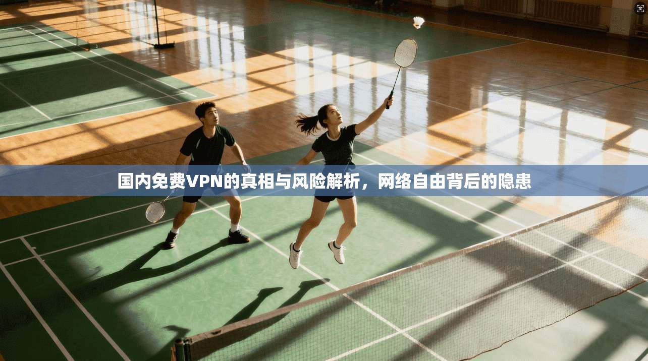 国内免费VPN的真相与风险解析，网络自由背后的隐患