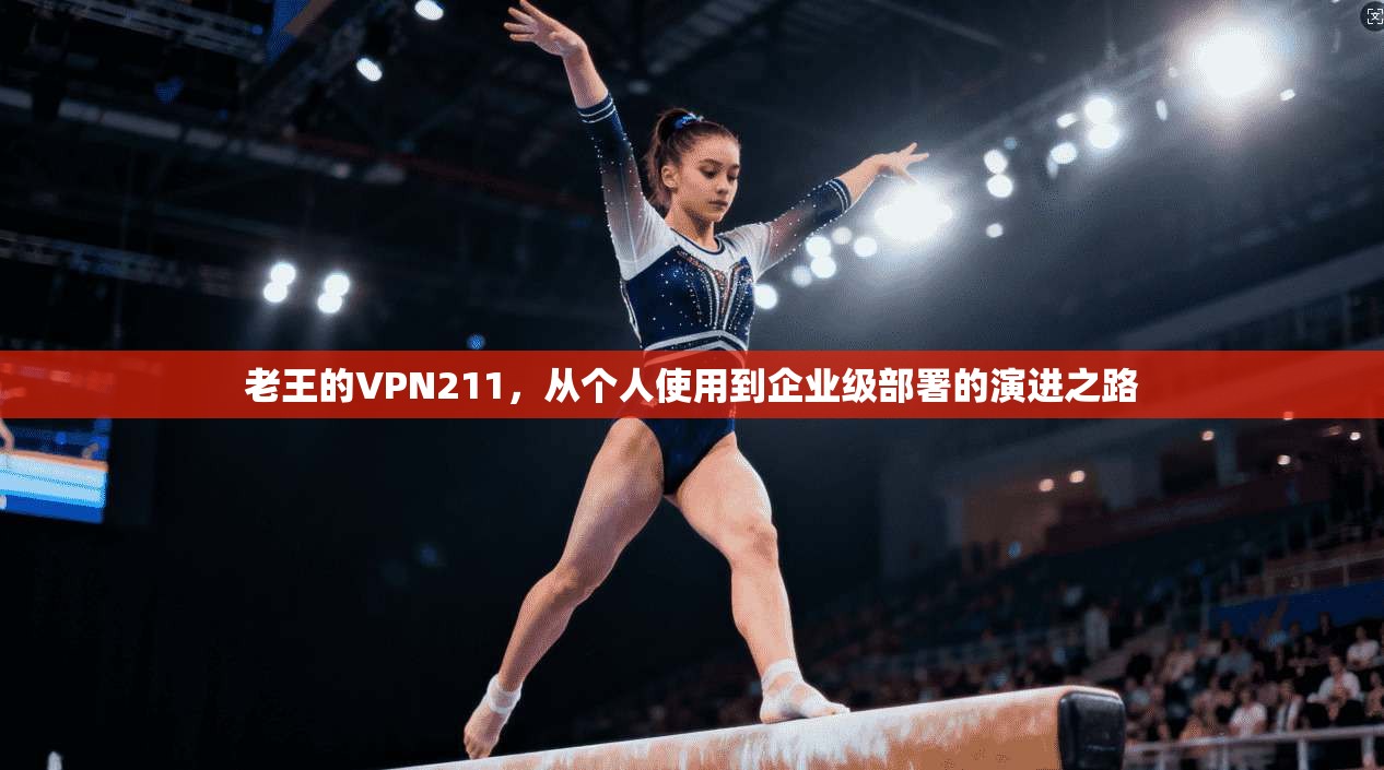 老王的VPN211，从个人使用到企业级部署的演进之路