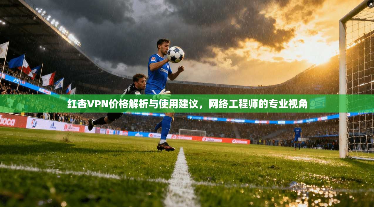 红杏VPN价格解析与使用建议，网络工程师的专业视角