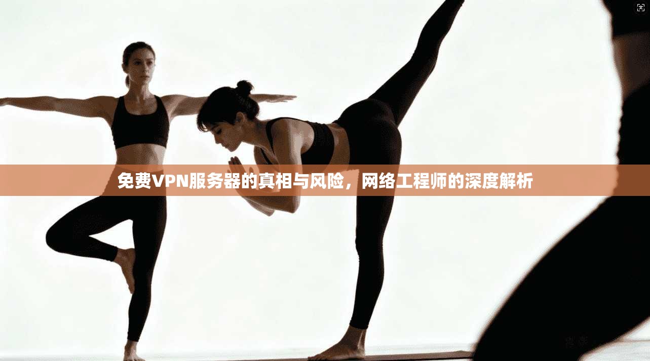 免费VPN服务器的真相与风险，网络工程师的深度解析