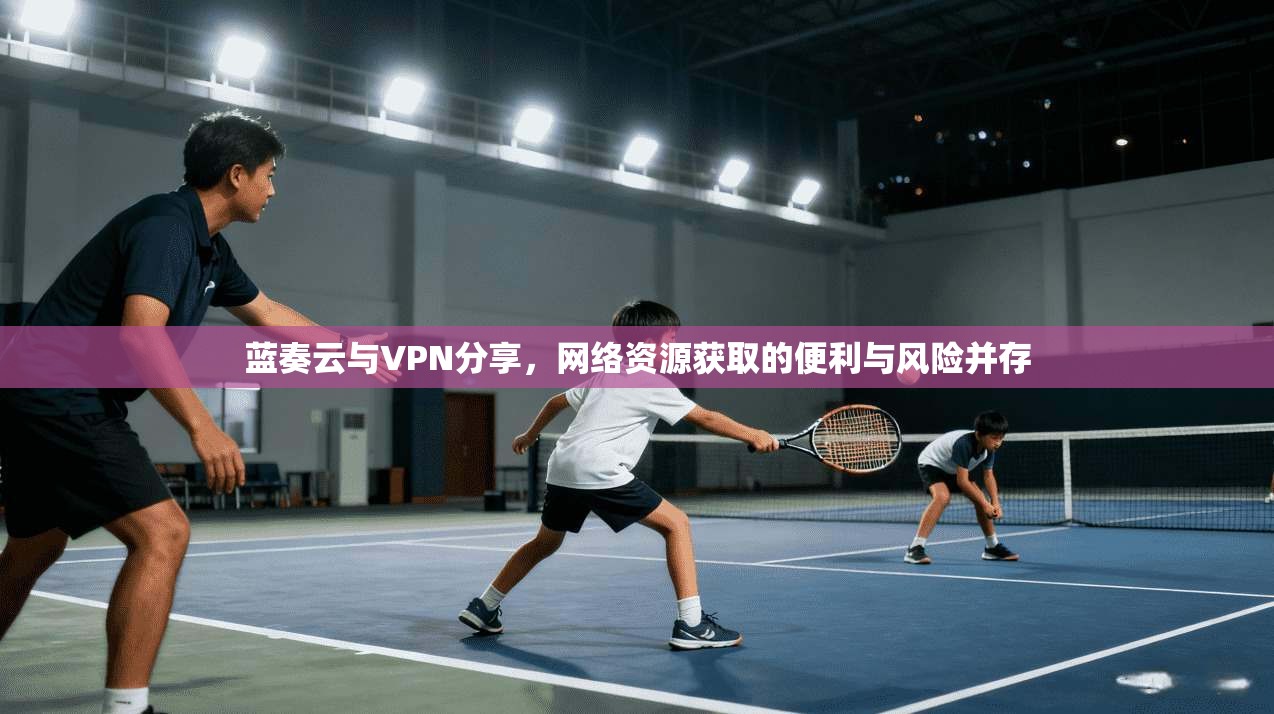 蓝奏云与VPN分享，网络资源获取的便利与风险并存