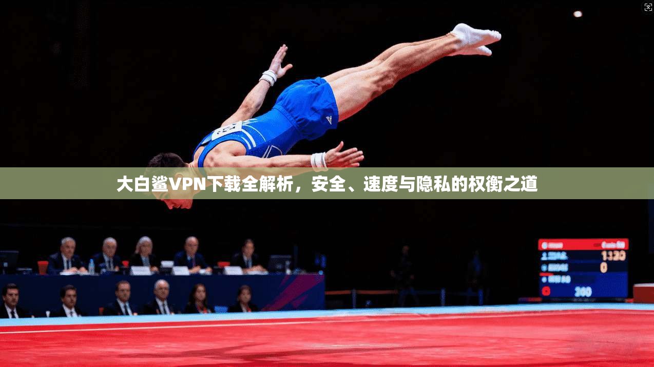 大白鲨VPN下载全解析，安全、速度与隐私的权衡之道
