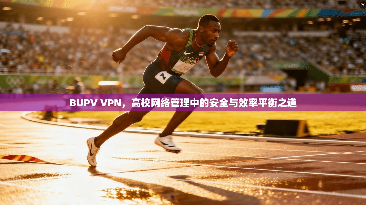 BUPV VPN，高校网络管理中的安全与效率平衡之道