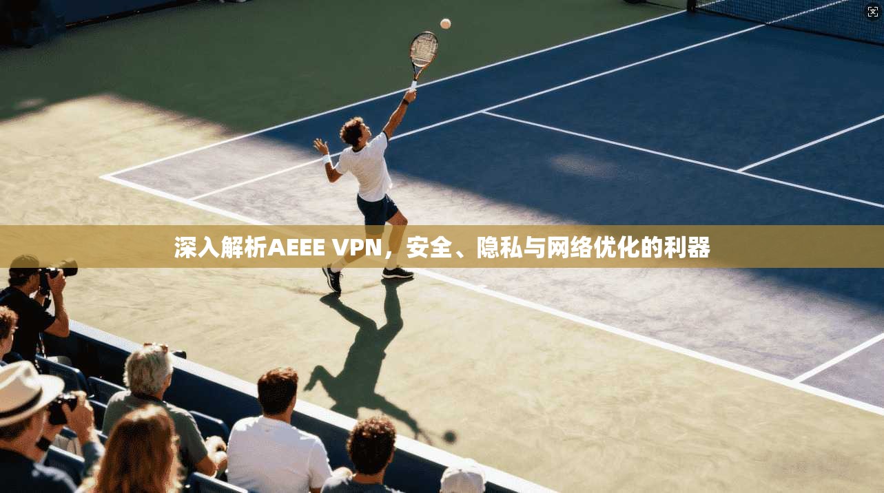 深入解析AEEE VPN，安全、隐私与网络优化的利器