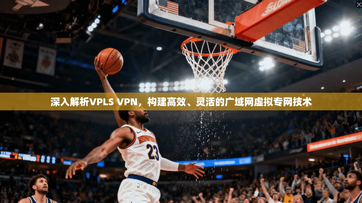 深入解析VPLS VPN，构建高效、灵活的广域网虚拟专网技术
