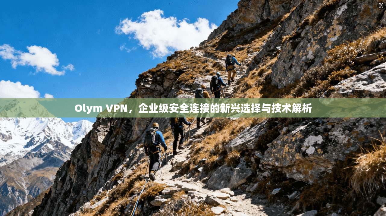 Olym VPN，企业级安全连接的新兴选择与技术解析