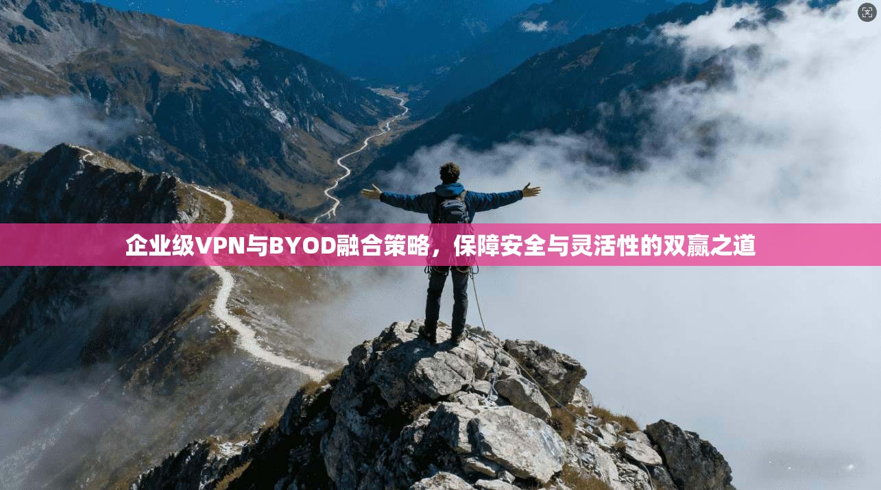 企业级VPN与BYOD融合策略，保障安全与灵活性的双赢之道