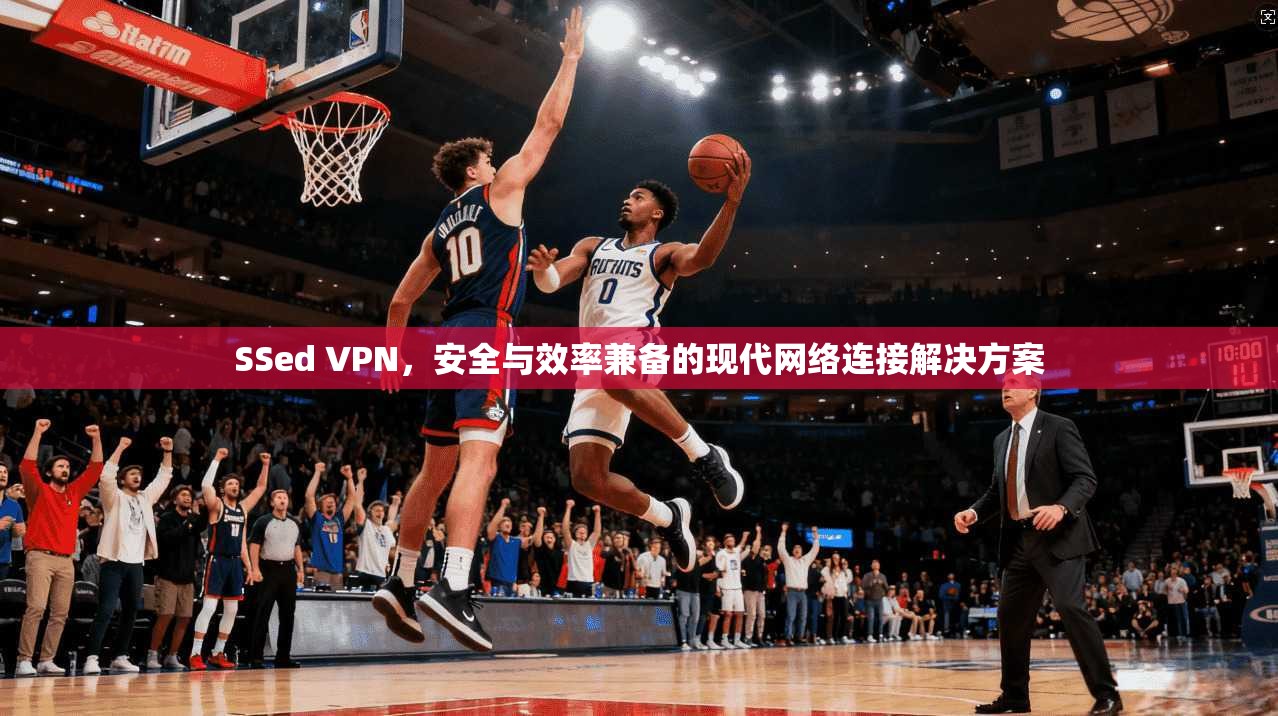 SSed VPN，安全与效率兼备的现代网络连接解决方案