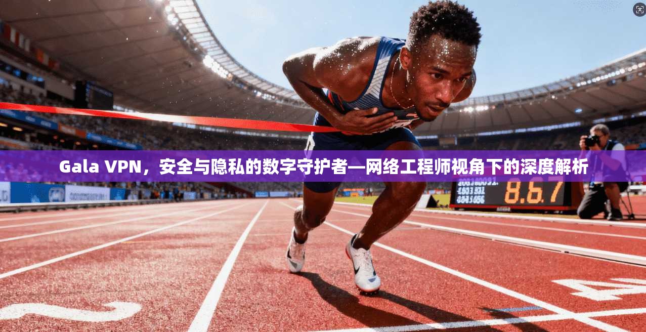 Gala VPN，安全与隐私的数字守护者—网络工程师视角下的深度解析