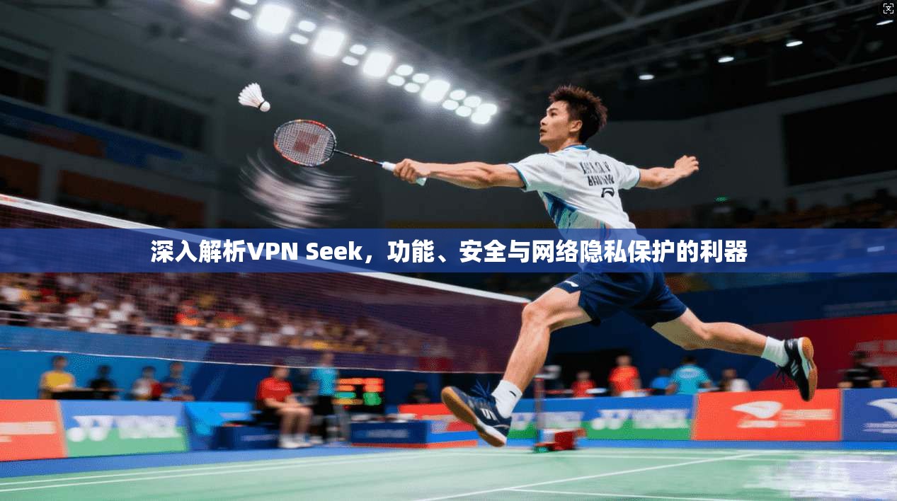 深入解析VPN Seek，功能、安全与网络隐私保护的利器