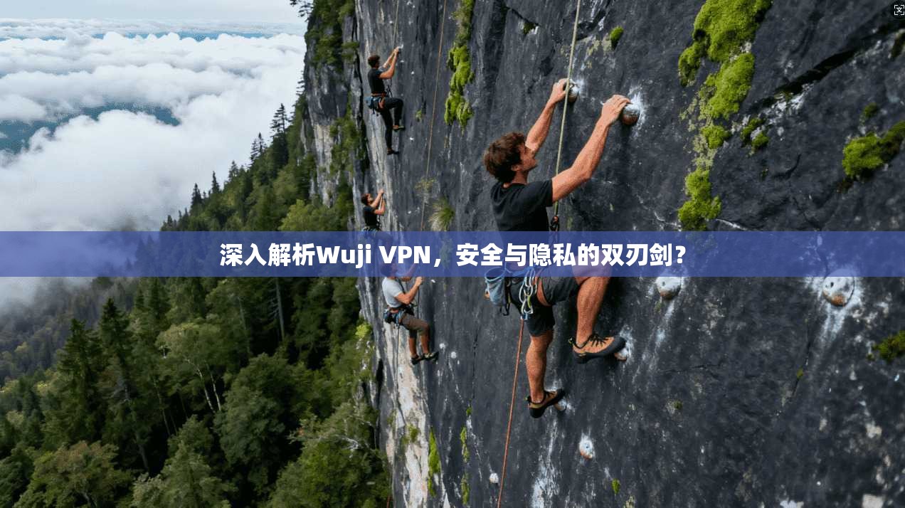 深入解析Wuji VPN，安全与隐私的双刃剑？