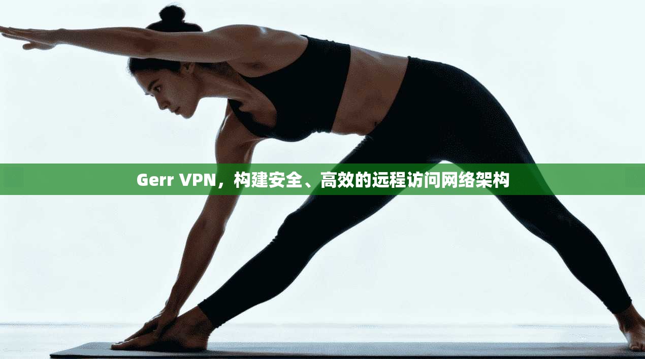 Gerr VPN，构建安全、高效的远程访问网络架构