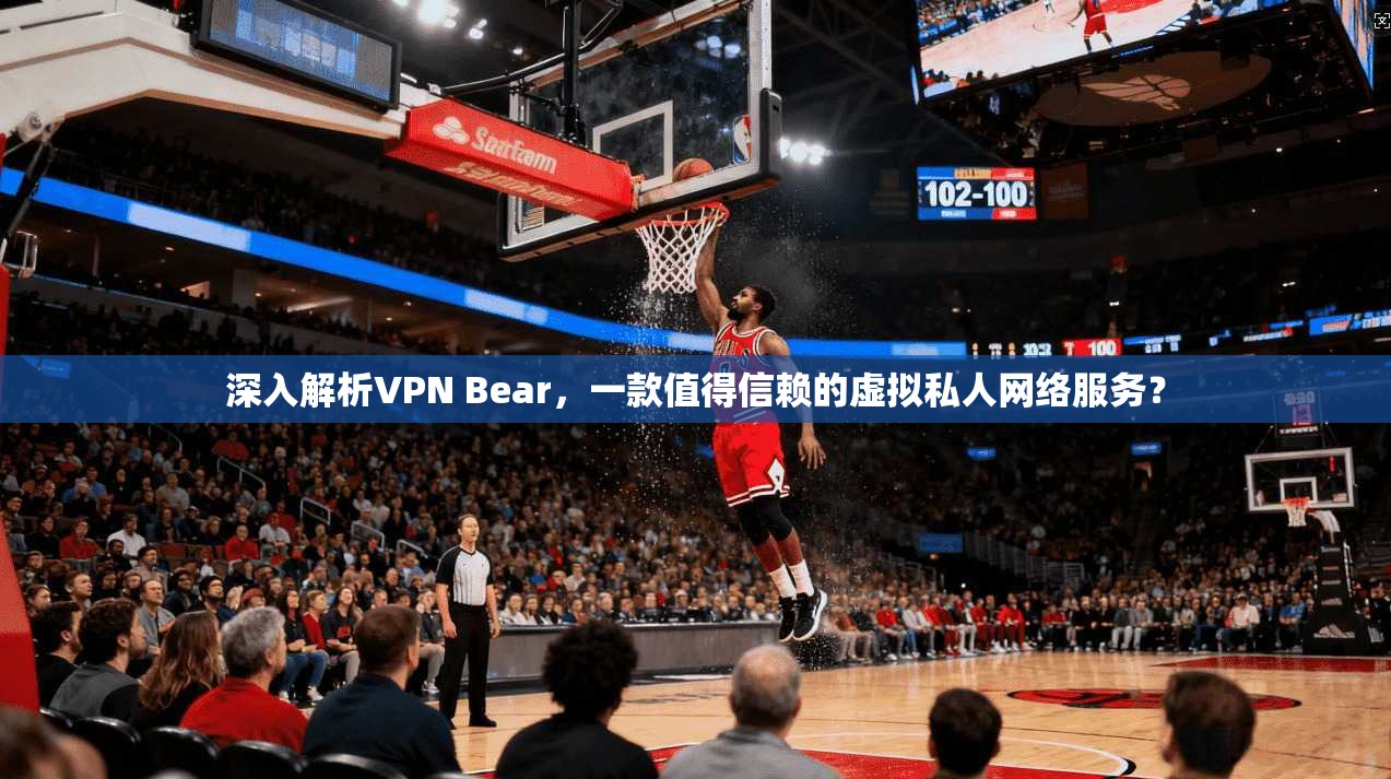 深入解析VPN Bear，一款值得信赖的虚拟私人网络服务？