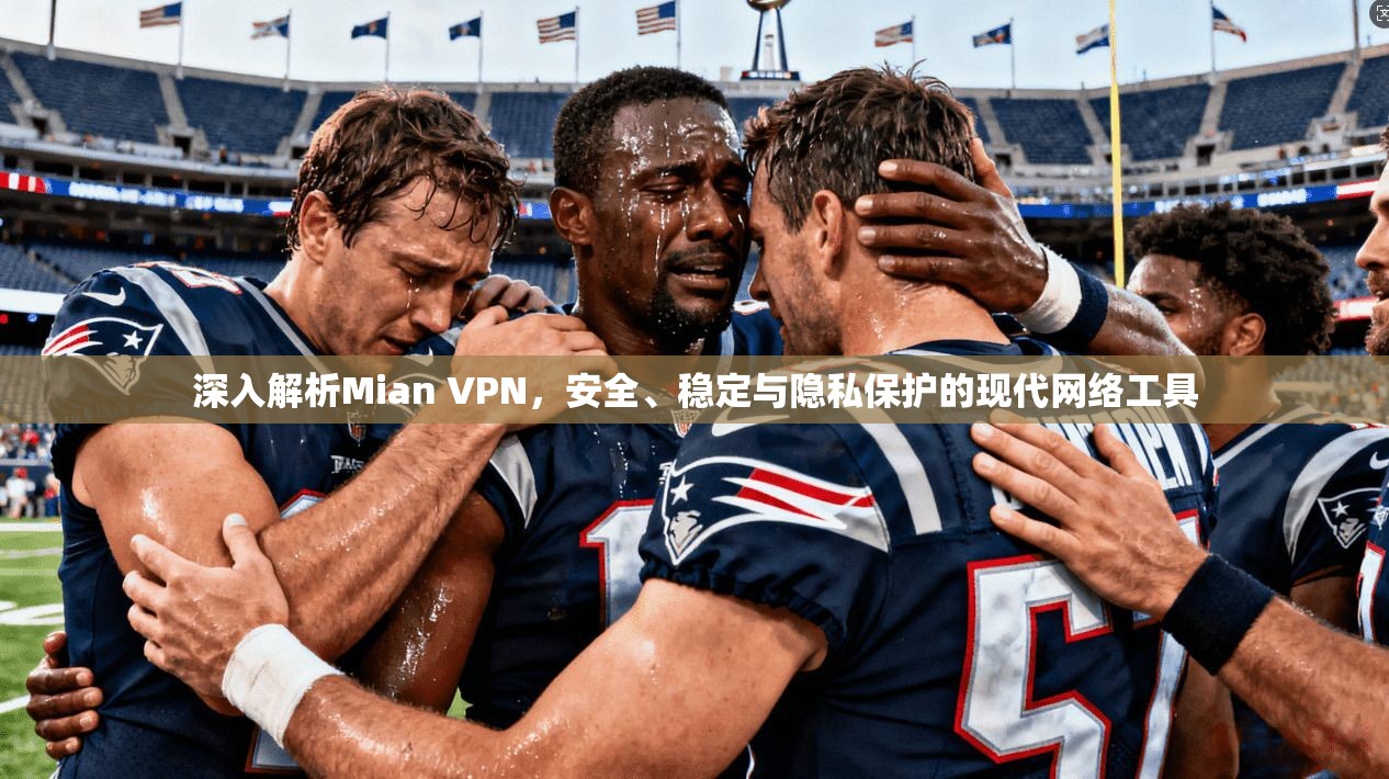 深入解析Mian VPN，安全、稳定与隐私保护的现代网络工具