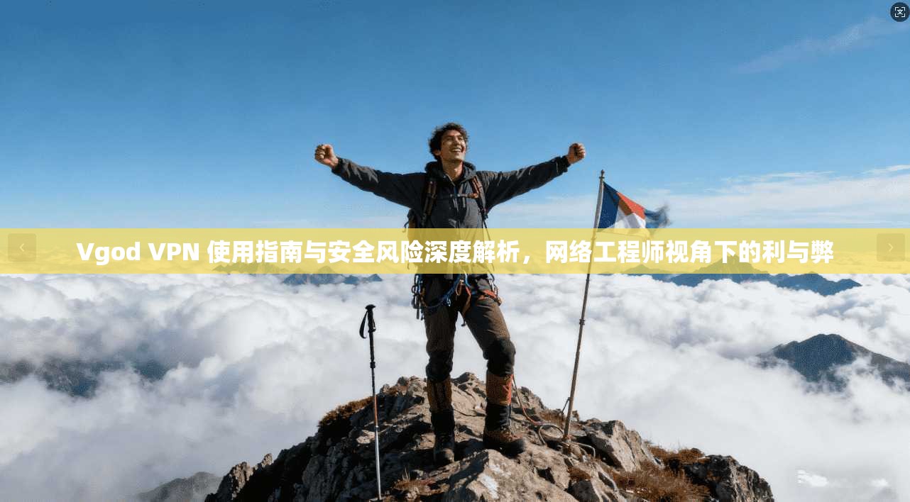 Vgod VPN 使用指南与安全风险深度解析，网络工程师视角下的利与弊