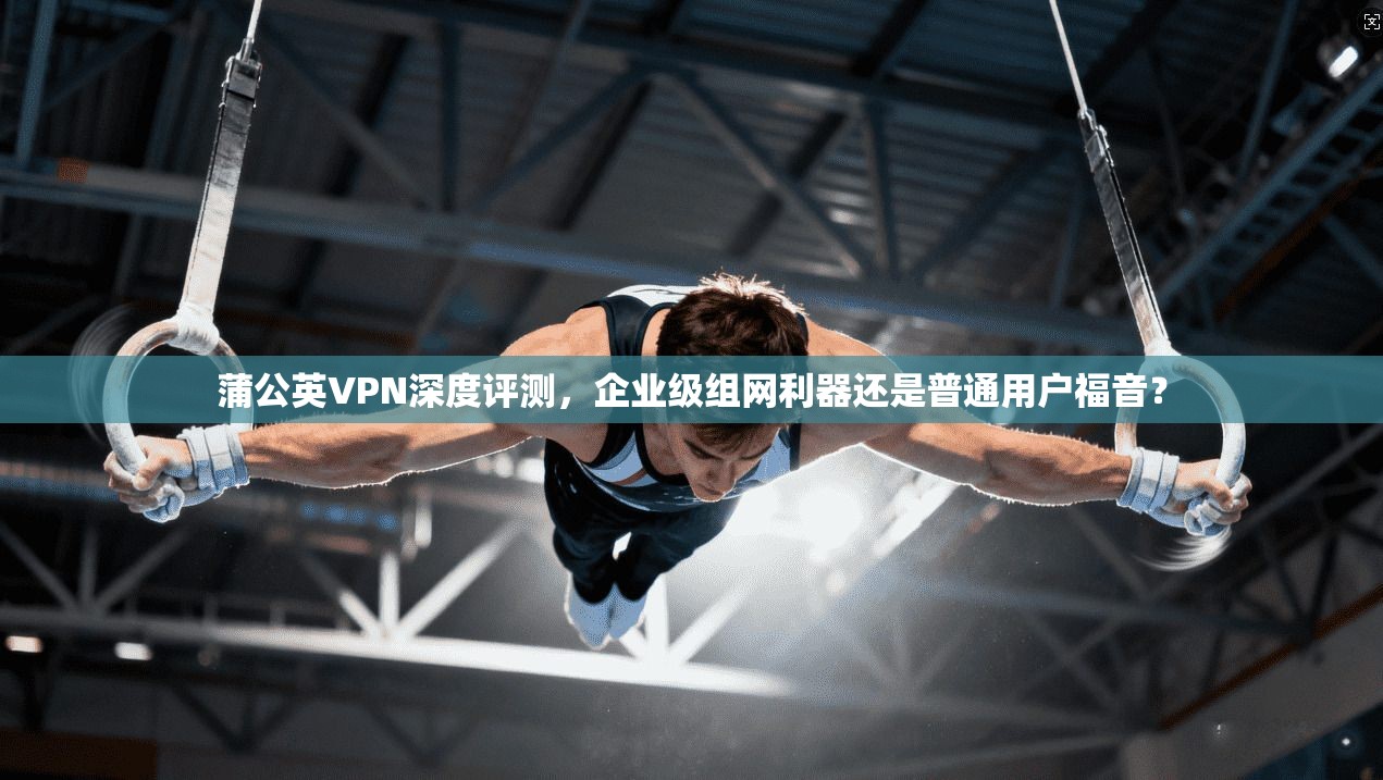 蒲公英VPN深度评测，企业级组网利器还是普通用户福音？