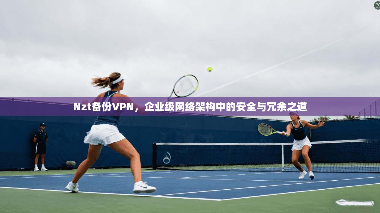 Nzt备份VPN，企业级网络架构中的安全与冗余之道
