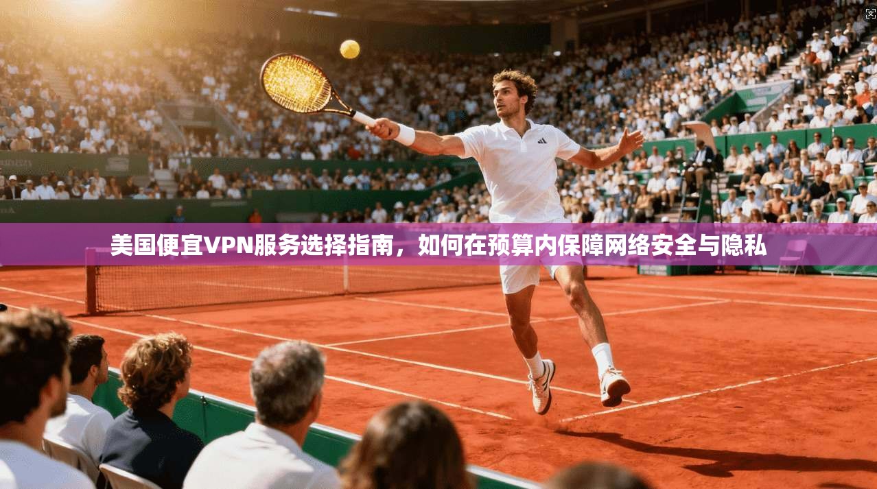 美国便宜VPN服务选择指南，如何在预算内保障网络安全与隐私