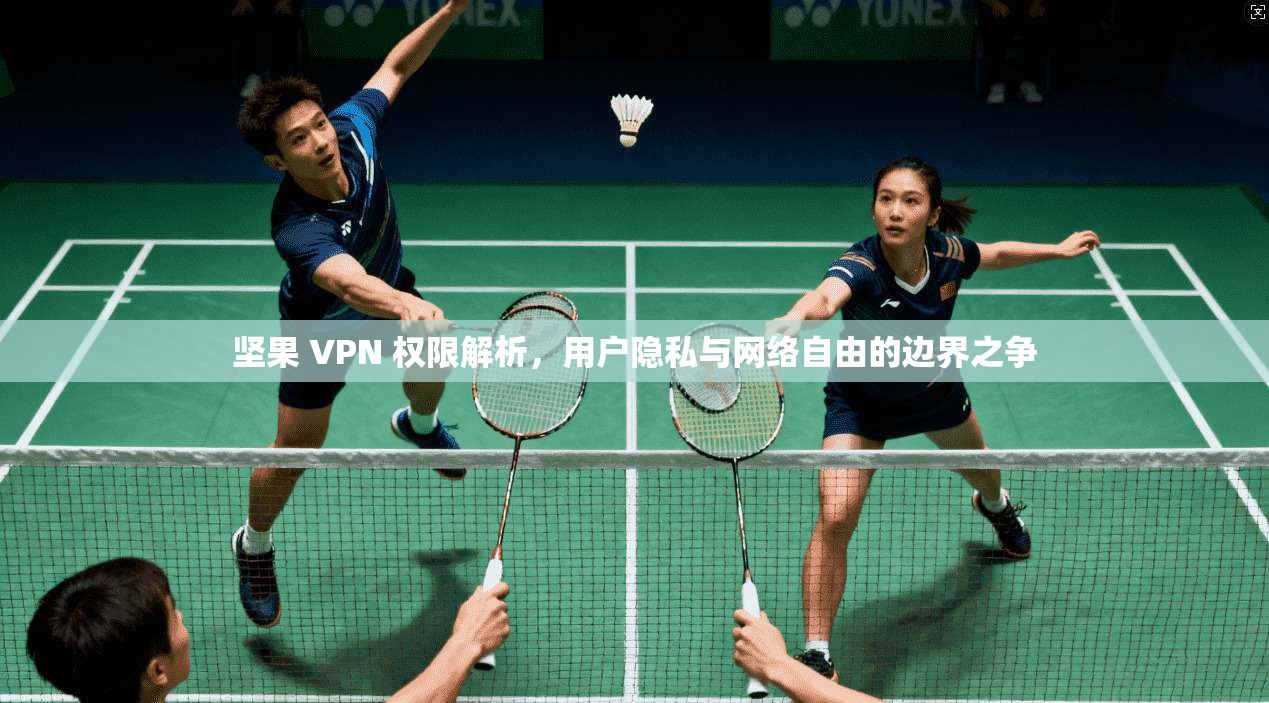 坚果 VPN 权限解析，用户隐私与网络自由的边界之争
