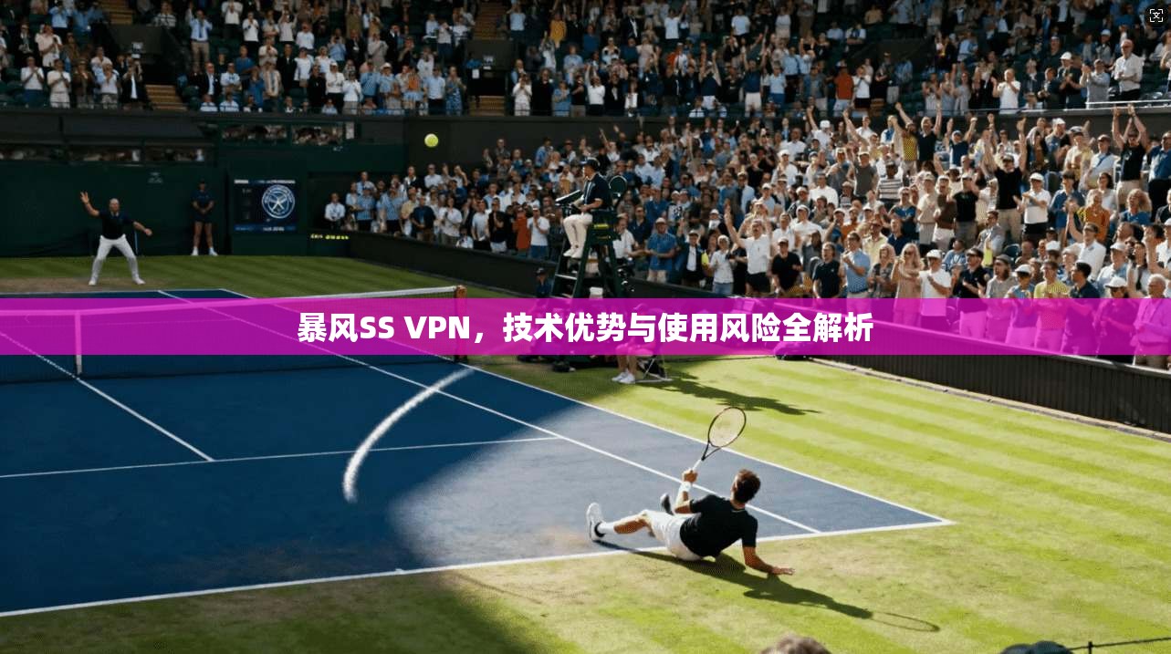 暴风SS VPN，技术优势与使用风险全解析