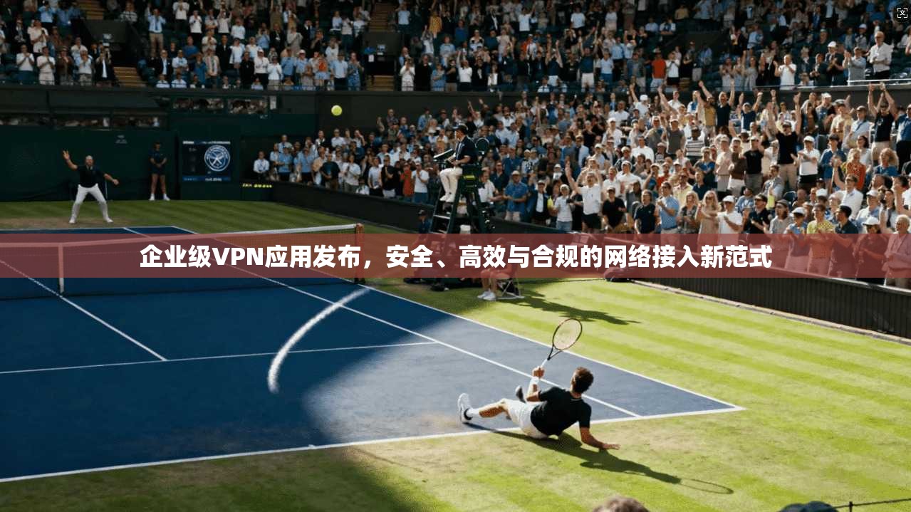 企业级VPN应用发布，安全、高效与合规的网络接入新范式