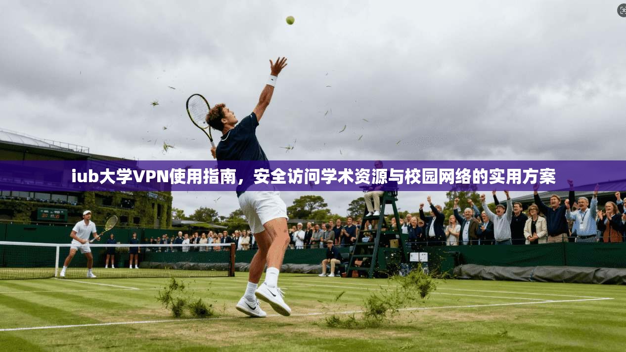iub大学VPN使用指南，安全访问学术资源与校园网络的实用方案