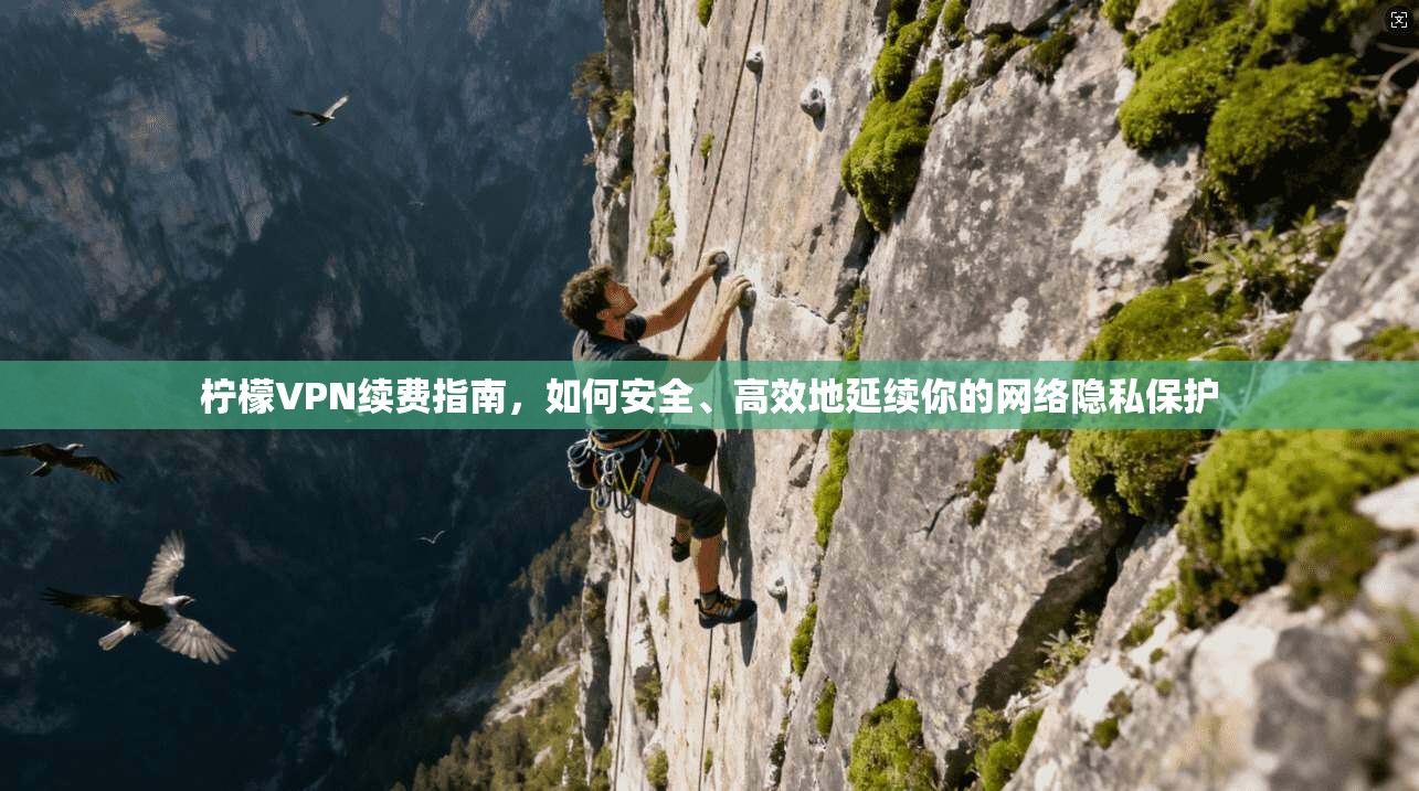 柠檬VPN续费指南，如何安全、高效地延续你的网络隐私保护