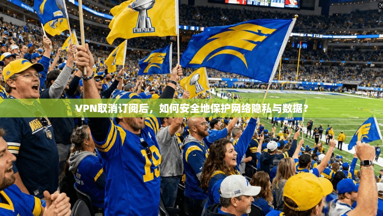 VPN取消订阅后，如何安全地保护网络隐私与数据？