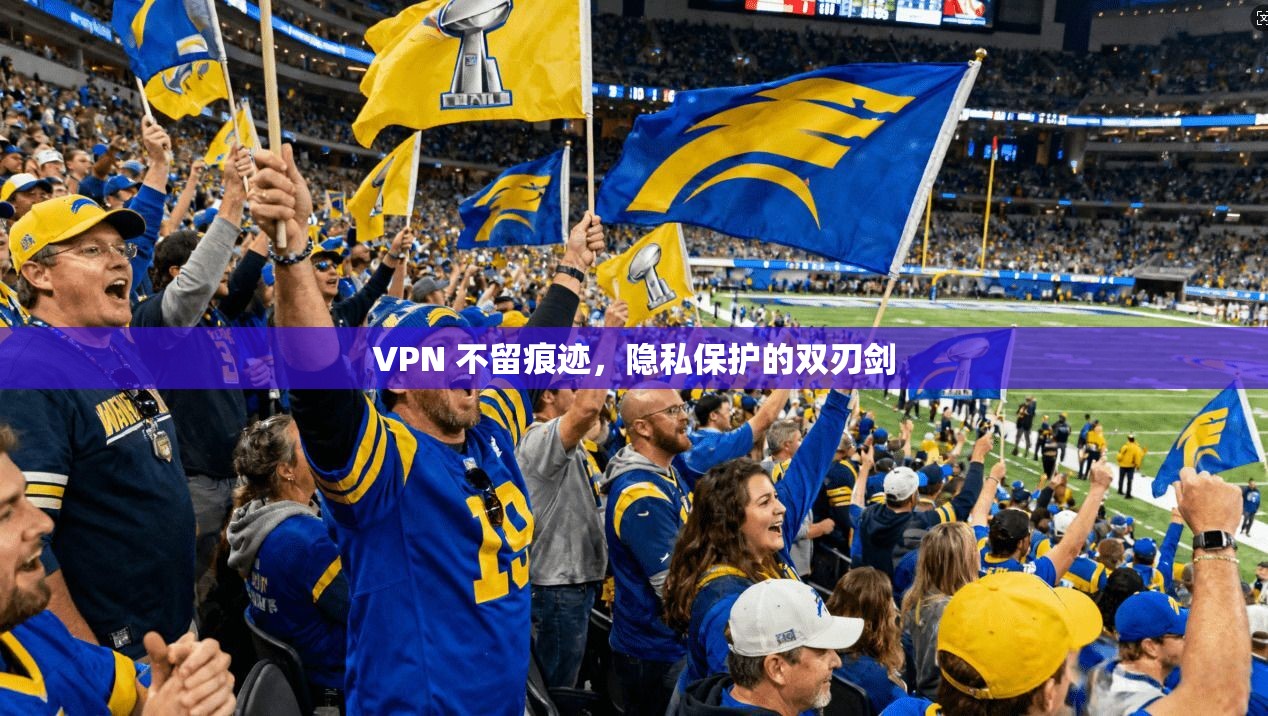 VPN 不留痕迹，隐私保护的双刃剑