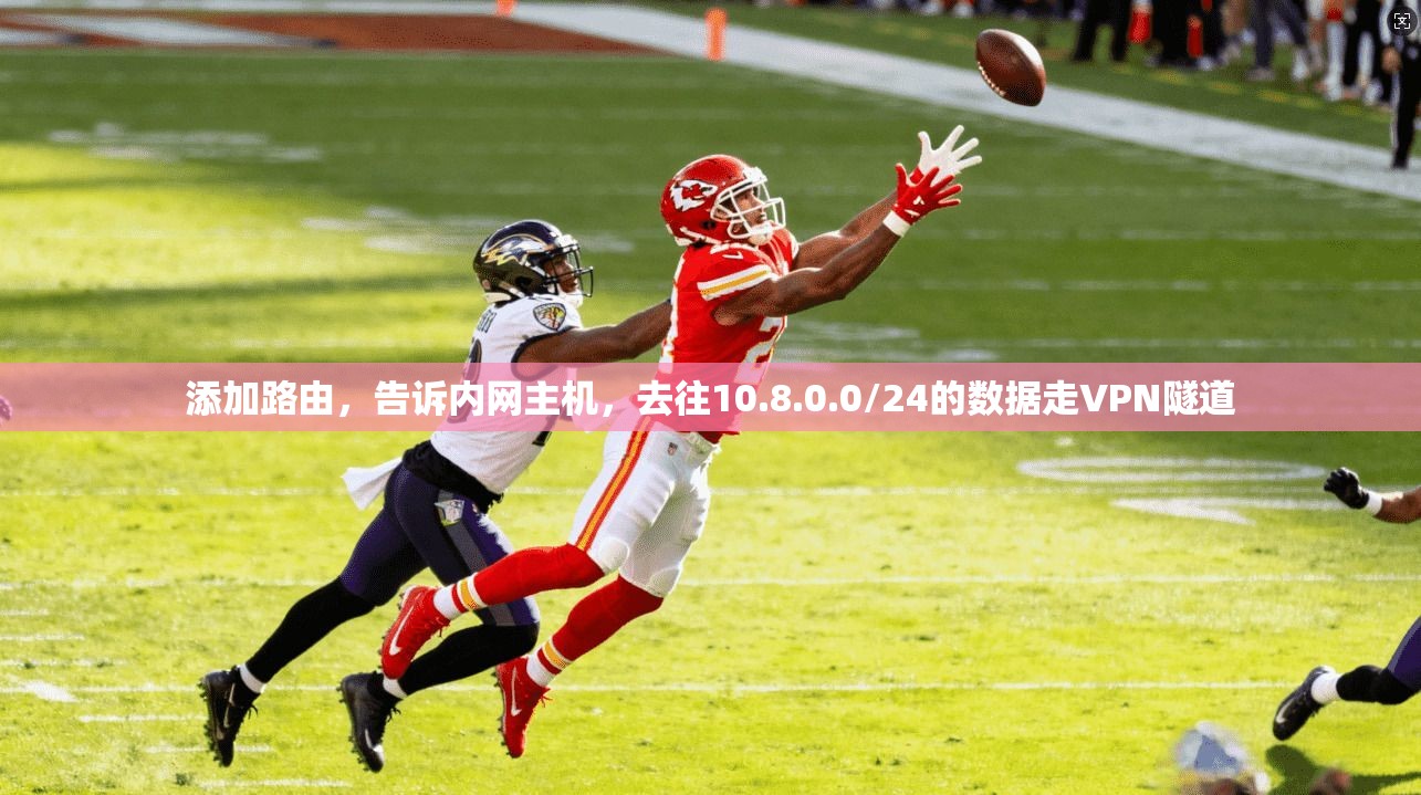 添加路由，告诉内网主机，去往10.8.0.0/24的数据走VPN隧道
