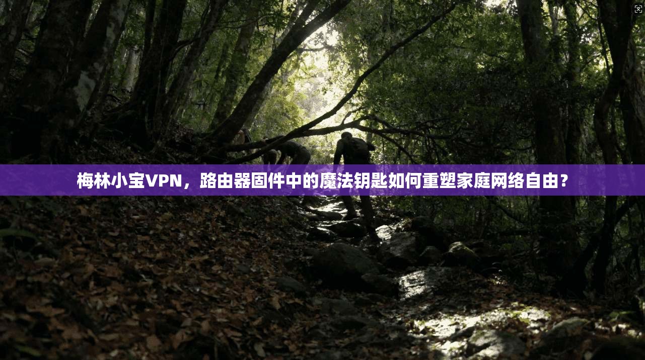 梅林小宝VPN，路由器固件中的魔法钥匙如何重塑家庭网络自由？