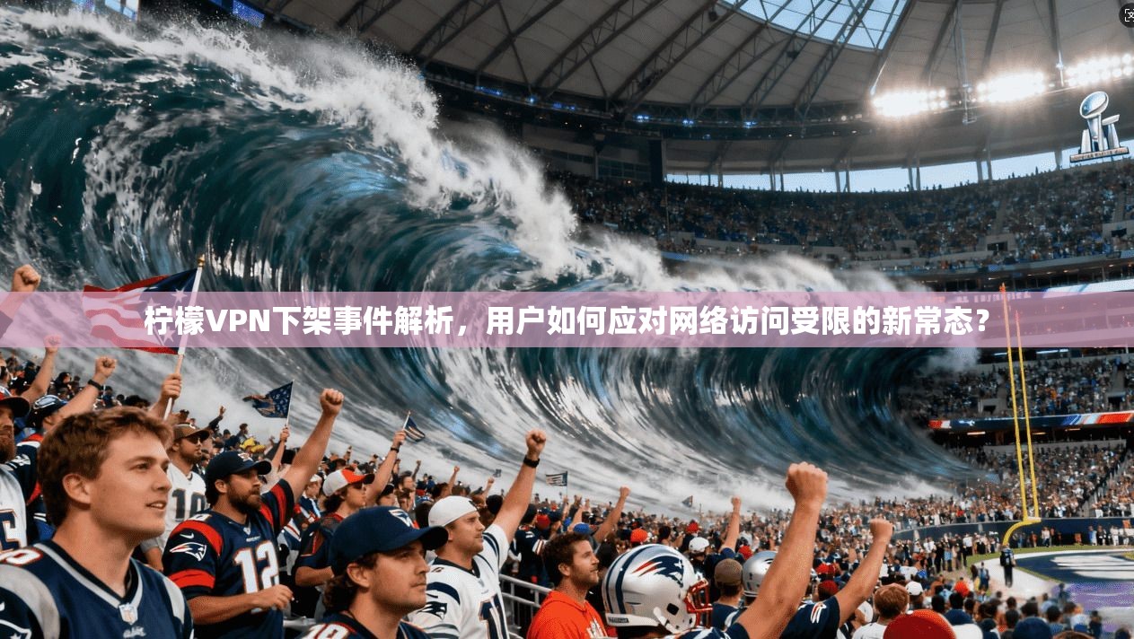 柠檬VPN下架事件解析，用户如何应对网络访问受限的新常态？