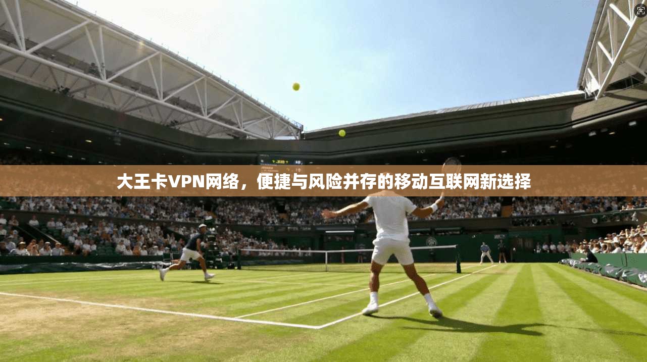 大王卡VPN网络，便捷与风险并存的移动互联网新选择