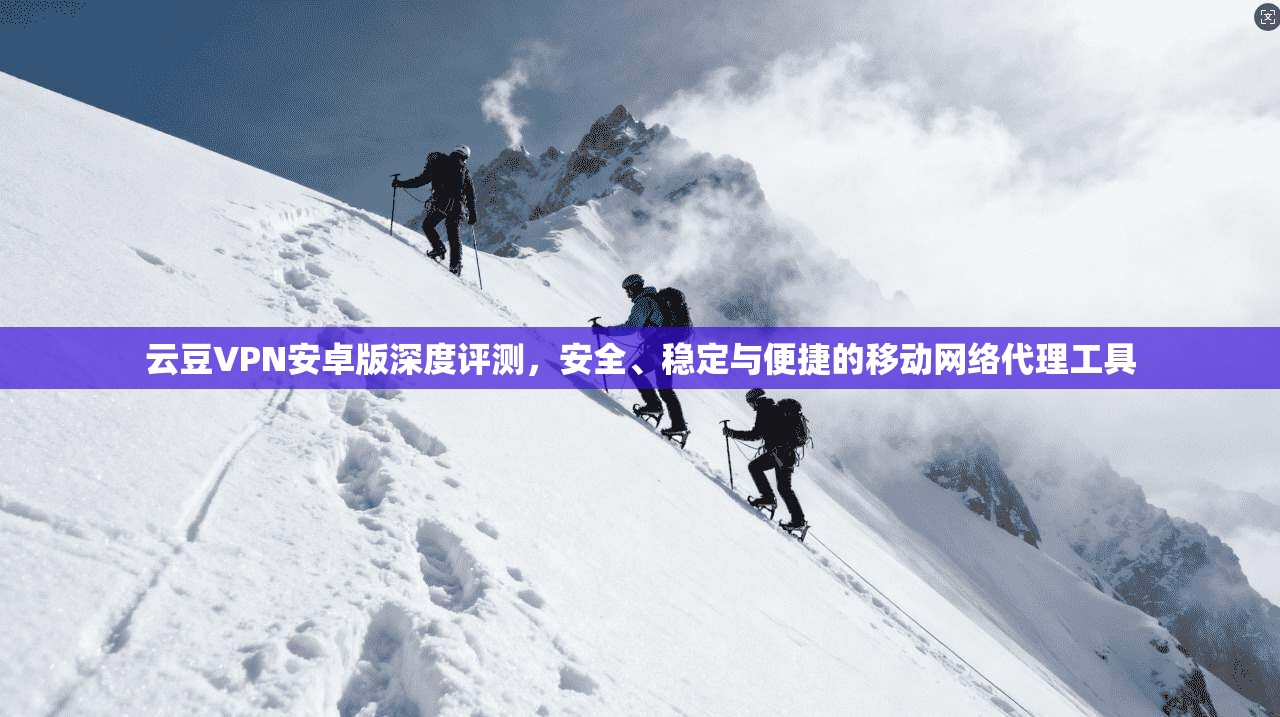 云豆VPN安卓版深度评测，安全、稳定与便捷的移动网络代理工具