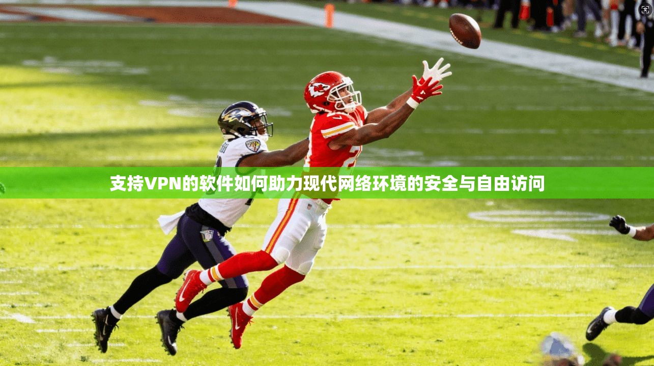 支持VPN的软件如何助力现代网络环境的安全与自由访问