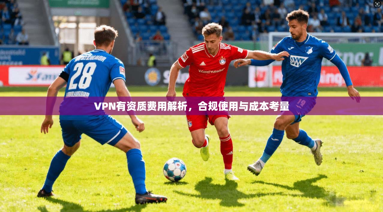 VPN有资质费用解析，合规使用与成本考量